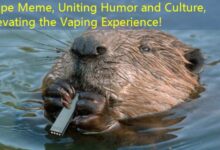 Vape Meme, Uniting Humor and Culture, Elevating the Vaping Experience!-vape