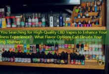 Are You Searching for High-Quality CBD Vapes to Enhance Your Wellness Experience? What Flavor Options Can Elevate Your Vaping Journey?-vape