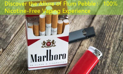 Discover the Allure of Flum Pebble： 100% Nicotine-Free Vaping Experience