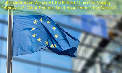 Is the Geek Vape Wenax H1 the Perfect Choice for Vaping Enthusiasts？ What Features Set It Apart from Other Devices？