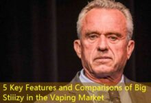 5 Key Features and Comparisons of Big Stiiizy in the Vaping Market-vape