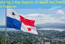 Exploring 5 Key Aspects of Weed Pen Pricing and Features-vape