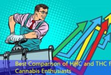 Best Comparison of HHC and THC for Cannabis Enthusiasts-vape