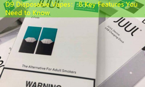 D9 Disposable Vapes： 8 Key Features You Need to Know