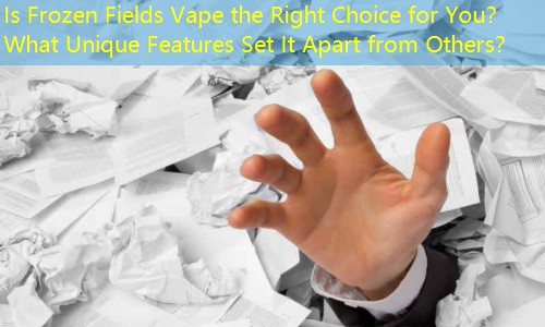 Is Frozen Fields Vape the Right Choice for You？ What Unique Features Set It Apart from Others？