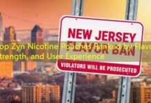 Top Zyn Nicotine Pouches Ranked by Flavor, Strength, and User Experience-vape