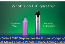 Are Delta 9 THC Disposables the Future of Vaping? What Makes Them a Popular Choice Among Users?-vape