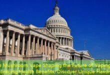 Exo Mushroom Vape Shaping the Future of Vaping, Embracing Health Benefits, Discover Unique Flavors!-vape