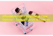 Affordable Online Disposable Vape Options: Explore Flavors & Features-vape